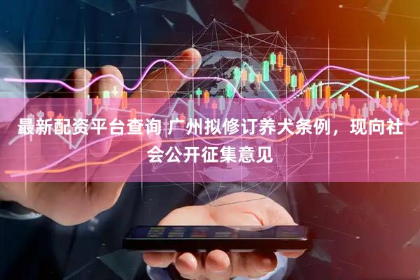 最新配资平台查询 广州拟修订养犬条例，现向社会公开征集意见