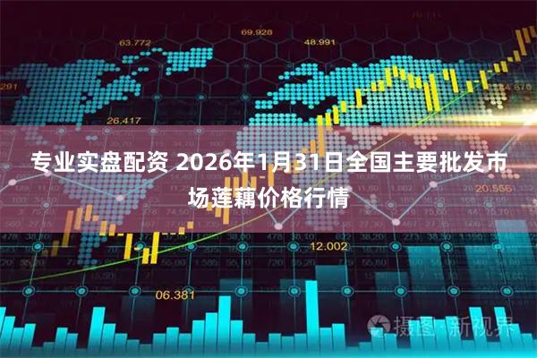 专业实盘配资 2026年1月31日全国主要批发市场莲藕价格行情