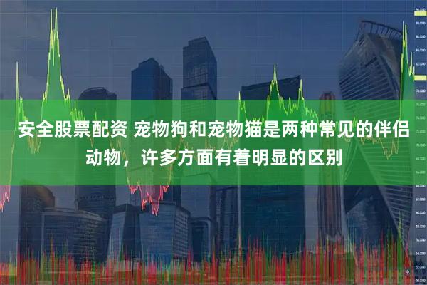 安全股票配资 宠物狗和宠物猫是两种常见的伴侣动物，许多方面有着明显的区别